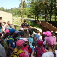 V korunách stromů (Janské Lázně) 2018